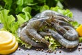 Raw shrimps on plate - fresh shrimp prawns uncooked with spices lemon and vegetable salad lettuce or green oak on dark background