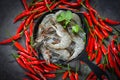 Raw shrimps prawns on ice bowl, Fresh shrimp seafood , white shrimp herbs and spice chili