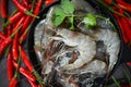 Raw shrimps prawns on ice bowl, Fresh shrimp seafood , white shrimp herbs and spice chili