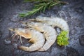 Raw shrimps prawns on ice and dark background, Fresh shrimp with herbs and spice rosemary Royalty Free Stock Photo