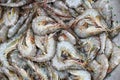 Raw shrimps on washing shrimp on bowl shrimps background , fresh shrimp prawns for cooking seafood food in the kitchen Royalty Free Stock Photo