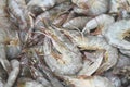 Raw shrimps on washing shrimp on bowl shrimps background , fresh shrimp prawns for cooking seafood food in the kitchen Royalty Free Stock Photo