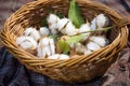 raw silk cocoons in a basket