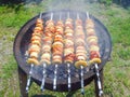 Skewers on Hot Barbeque