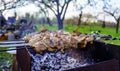 Raw skewers from turkey meat are cooked on a charcoal grill close up on a sunny summer day in nature in the garden Royalty Free Stock Photo