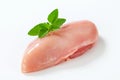 Raw skinless chicken breast