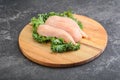 Raw small chicken fillet for cooking