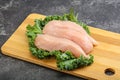 Raw small chicken fillet for cooking