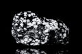 Raw snowflake obsidian volcanic glass in front of black background