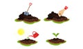 Raw Soil and Hand Planting Seed Vector Set