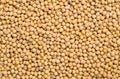 Raw soybean seeds texture background