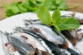 Raw spanish boquerones, anchovies typical in Spain