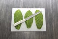 Raw spineless fresh green Mexican nopales on a chopping board and knife ready to cook