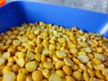 Raw split peas in a blue plastic bowl. Cereals. Bulk products