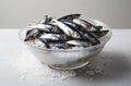 Raw sprat in a bowl. Fresh raw fish in a bowl on a concrete background