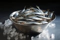 Raw sprat in a bowl. Fresh raw fish in a bowl on a concrete background