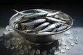 Raw sprat in a bowl. Fresh raw fish in a bowl on a concrete background
