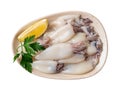 Raw squid fillet and lemon on a plate cutout. Plate of small calamary tubes isolated on a white background. Fresh squids for Royalty Free Stock Photo