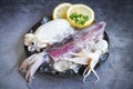 Raw squid with ice and salad spices lemon on the black plate background - fresh squids octopus or cuttlefish for cooked food at Royalty Free Stock Photo