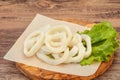 Raw squid rings for cooking Royalty Free Stock Photo