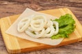 Raw squid rings for cooking Royalty Free Stock Photo