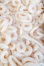 Raw Squid rings thawed Royalty Free Stock Photo