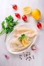 Raw squids and ingredients on the white plate Royalty Free Stock Photo