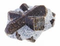 raw staurolite crystals in mica shale on white