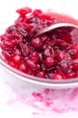Raw Stirred Cranberries Royalty Free Stock Photo