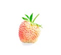 Raw strawberry is a fresh berry fruit isolated on white background, di cut with clipping path Royalty Free Stock Photo