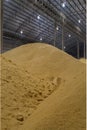 Raw sugar pile