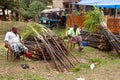 Raw sugarcane is offered for sale