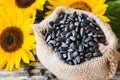 Raw sunflower seeds in burlap bag on a wooden table against the background and yellow sunflower Royalty Free Stock Photo