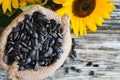 Raw sunflower seeds in burlap bag on a wooden table against the background and yellow sunflower Royalty Free Stock Photo