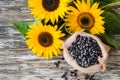 Raw sunflower seeds in burlap bag on a wooden table against the background and yellow sunflower Royalty Free Stock Photo
