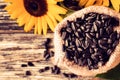 Raw sunflower seeds in burlap bag on a wooden table against the background and yellow sunflower Royalty Free Stock Photo