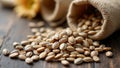Raw sunflower seeds with gray stripes spilling from burlap sack on rustic surface Royalty Free Stock Photo