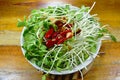 Raw sunflower sprout dressing oyster sauce and chili prepare to cook Royalty Free Stock Photo