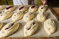 Raw sweet yeast dough on a baking sheet, filling buns cheese. Preparation for baking. The concept of chefs and baking. Royalty Free Stock Photo