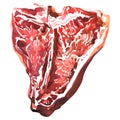 Raw t-bone beef steak, uncooked porterhouse meat ready to cook, close up, top view, isolated, hand drawn watercolor Royalty Free Stock Photo