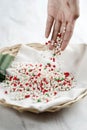 Raw Tapioca Sago Pearl Before Boil. Ingredient Making Asian Dessert Royalty Free Stock Photo