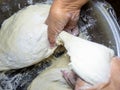 Raw thick dough in the hands of a woman baker.