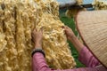 Raw of threads extracted from the cocoon of the silkworm drying outdoor, with Vietnamese woman hands separating the threads