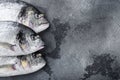Raw three head sea bream or Gilt head bream dorada fish on grey textured background, top view with space for text