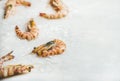 Raw tiger prawns on chipped ice, copy space Royalty Free Stock Photo