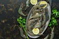Raw tiger prawns on a metal plate with ice, lemon and parsley on a dark background. Top view, copy space