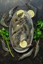 Raw tiger prawns on a metal plate with ice, lemon and parsley on a dark background. Top view, flat lay