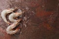 Raw tiger prawns on stone background Royalty Free Stock Photo