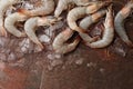 Raw tiger prawns on stone background Royalty Free Stock Photo