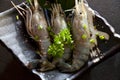 Raw tiger shrimps Royalty Free Stock Photo